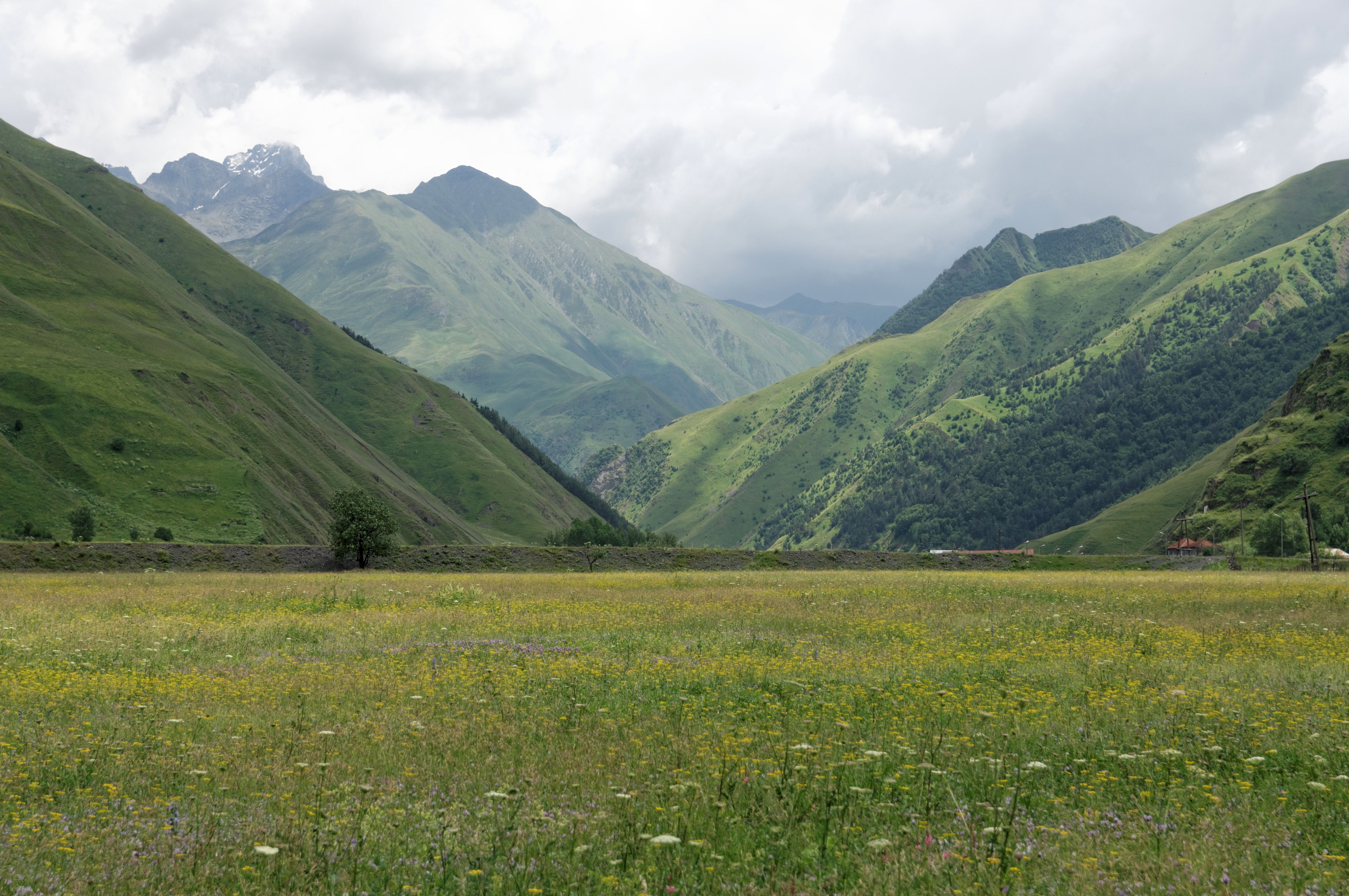 Georgia A Tapestry of Cultures and Mountain Feasts (image credits: wikimedia)