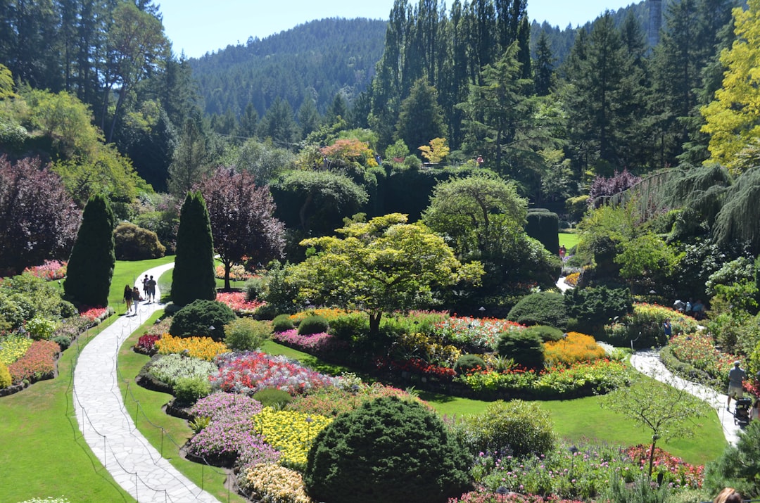 Victoria, British Columbia (image credits: unsplash)