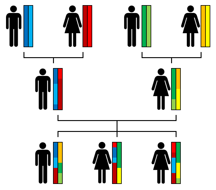 The Role of Genetic Genealogy (image credits: wikimedia)