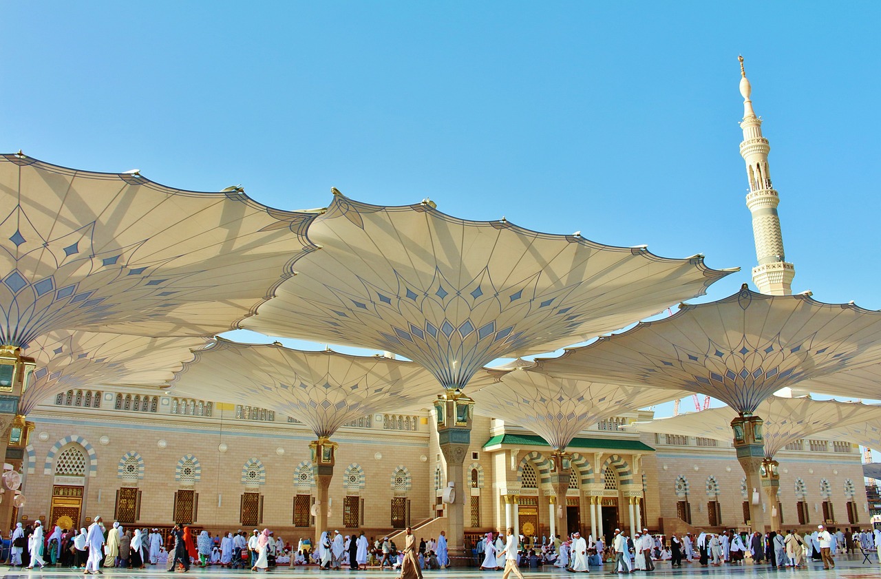 Saudi Arabia: Ambition Meets Restriction (image credits: pixabay)
