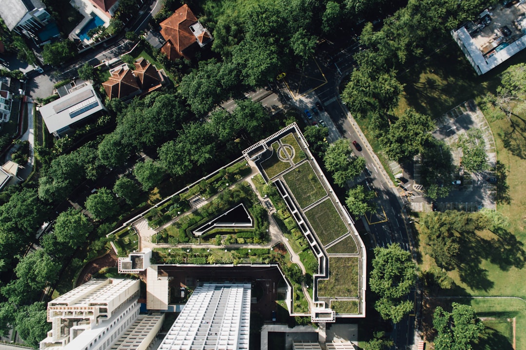 The Shift Towards Sustainable Tourism (image credits: unsplash)