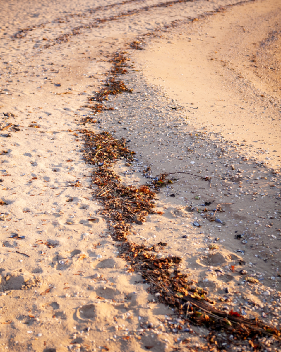 Climate Change Impact (image credits: stocksnap)