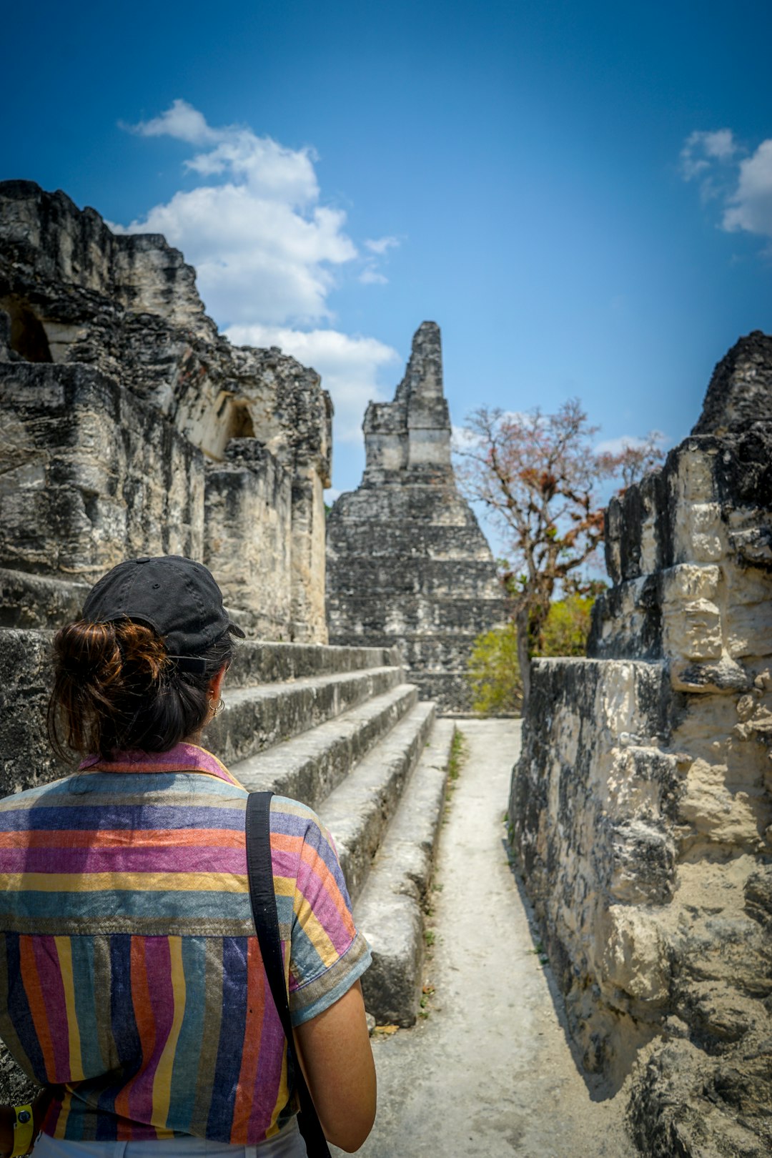 The City of Tikal (image credits: unsplash)
