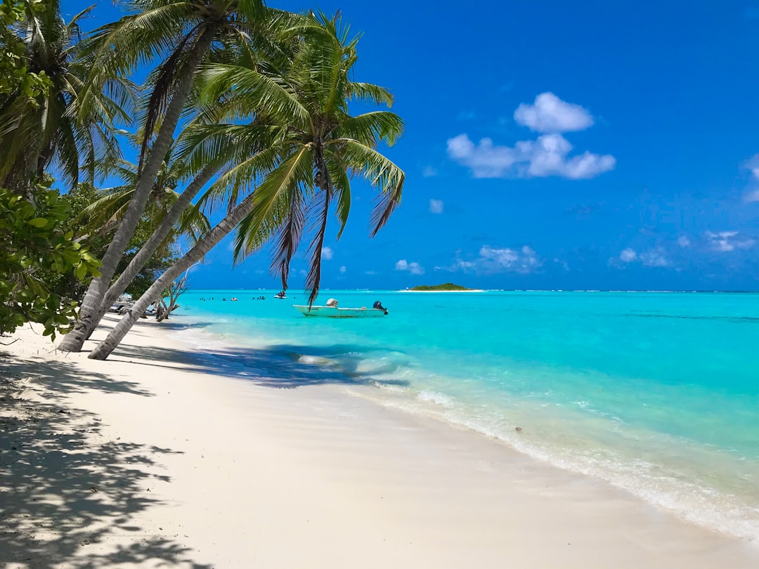 Explore Alternative Travel Destinations (image credits: unsplash)