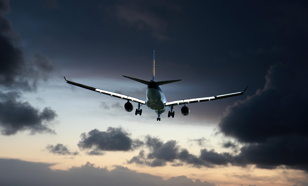 Surprising Alternatives on the Road (image credits: pixabay)