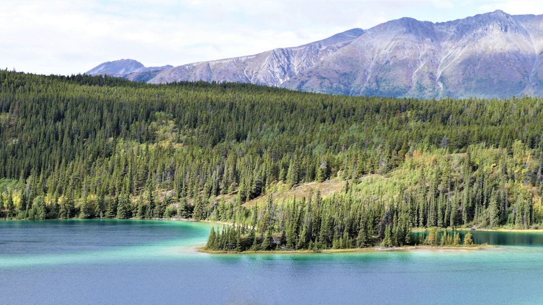 8. The Yukon, Canada (image credits: unsplash)