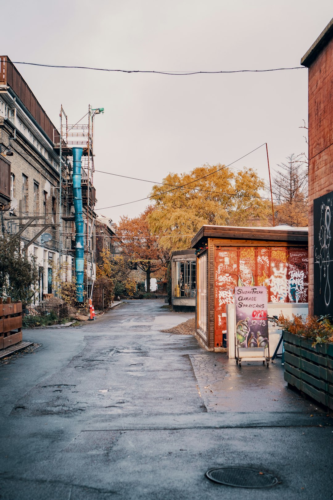 The Ghost Town Effect: Decay and Nature’s Takeover (image credits: unsplash)