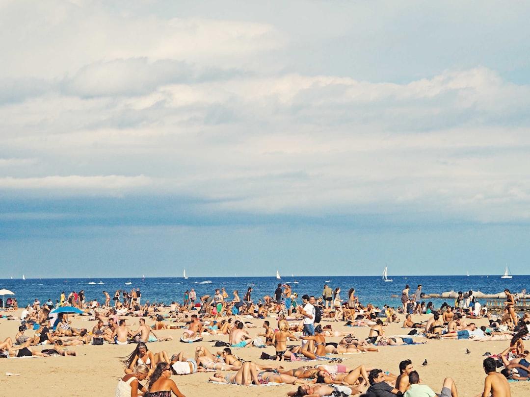 The Reality of Crowds (image credits: unsplash)