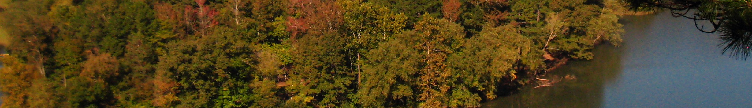 The Ozark National Forest Trails, Arkansas (image credits: wikimedia)