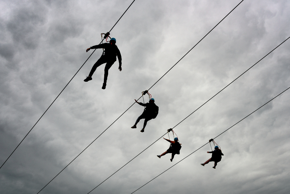 Safety and Risk Management