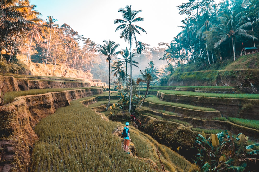 Sustainable Travel Takes Center Stage (image credits: unsplash)
