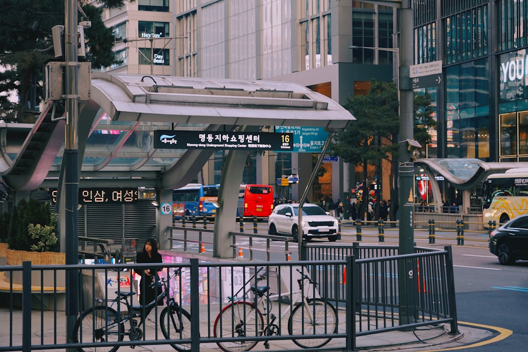 South Korea Connected Convenience (image credits: unsplash)