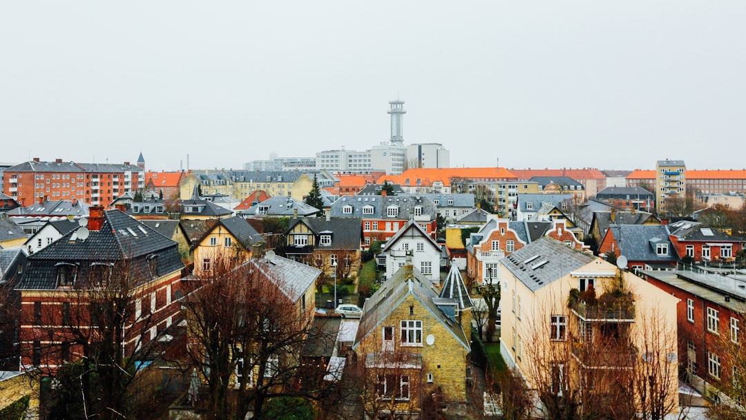 Denmark: Trust Born from Equality and Civic Engagement (image credits: unsplash)