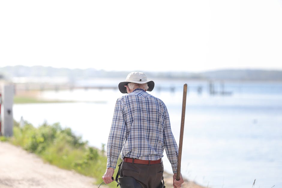 North Carolina: The Research Triangle of Retirement Excellence (image credits: pexels)