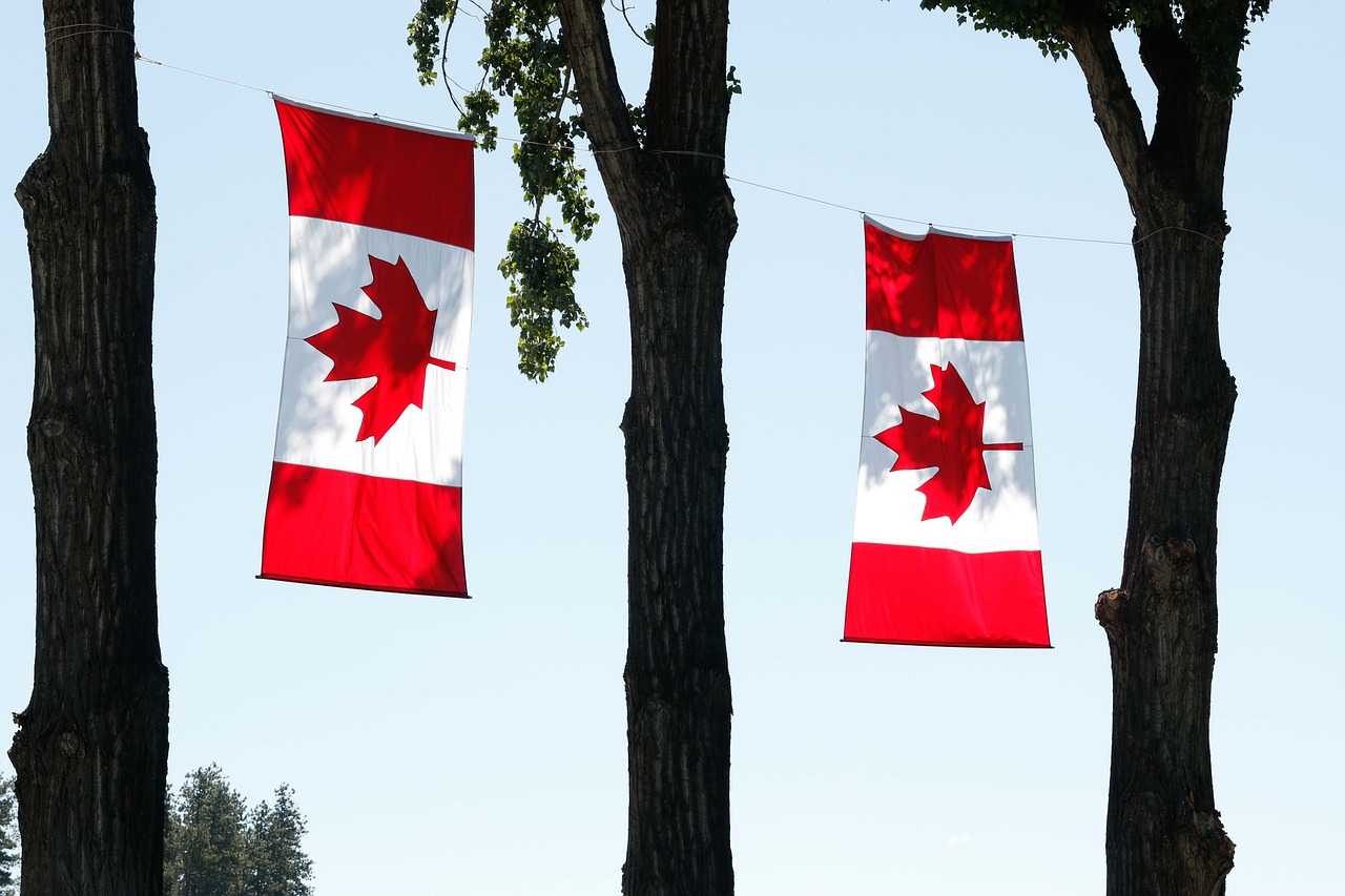 Celebrating Canadian Identity (image credits: pixabay)