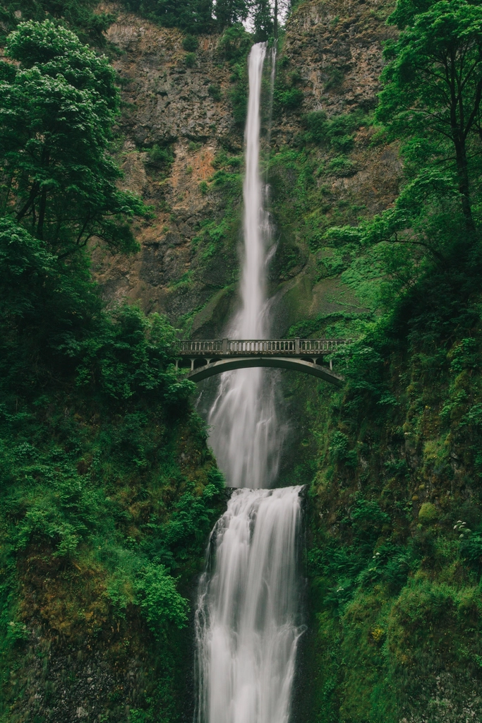 Multnomah Falls, Oregon (image credits: rawpixel)