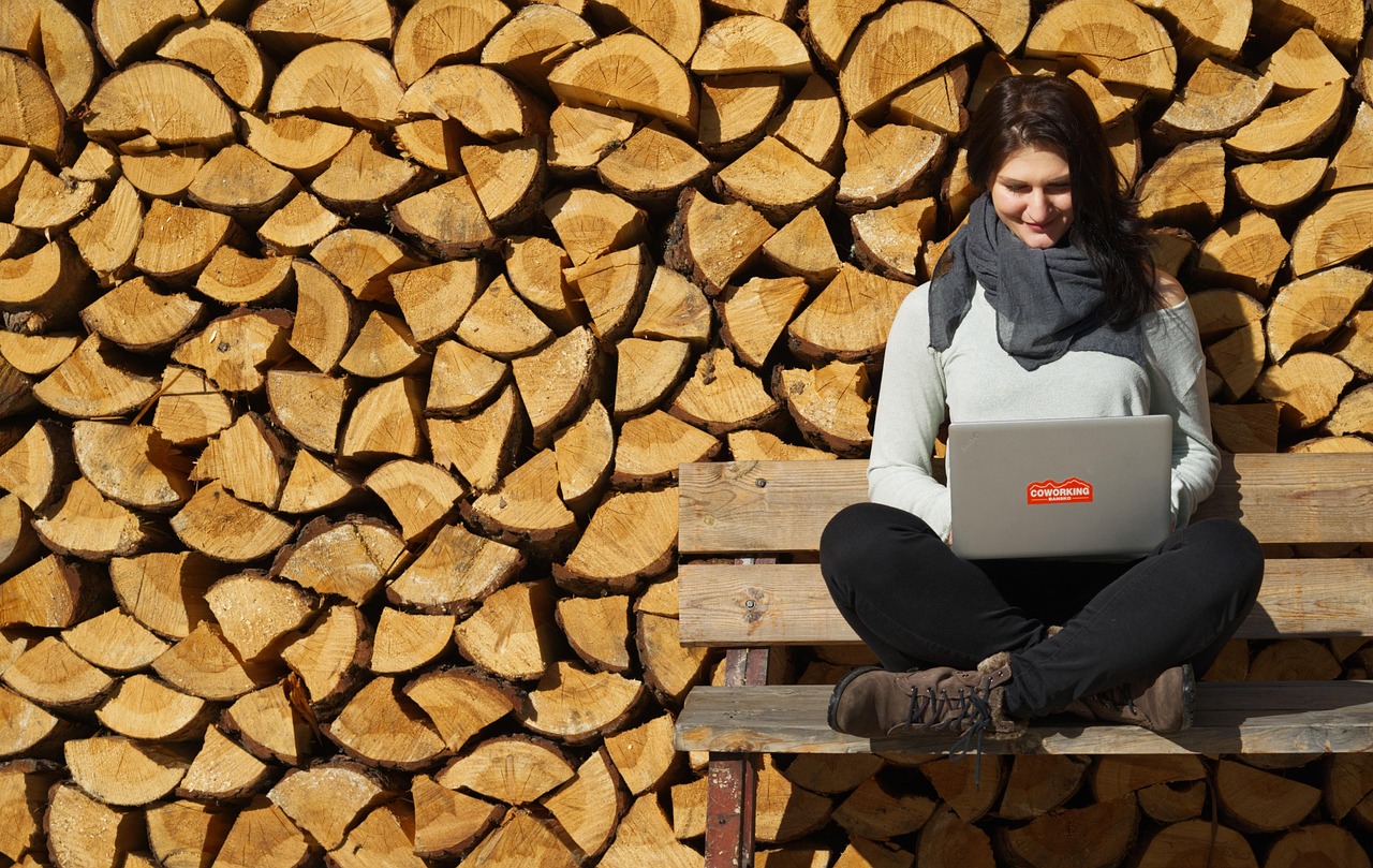 The Rise of Remote Work (image credits: pixabay)