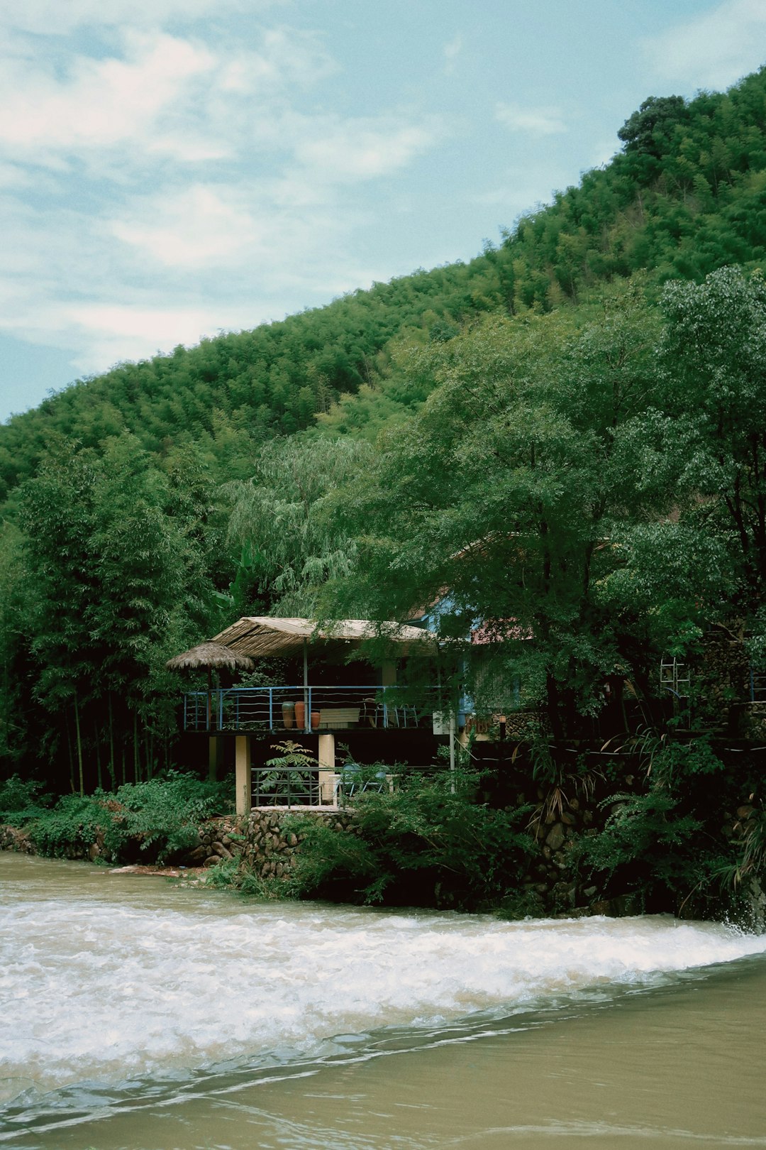 A Lighter Environmental Footprint (image credits: unsplash)