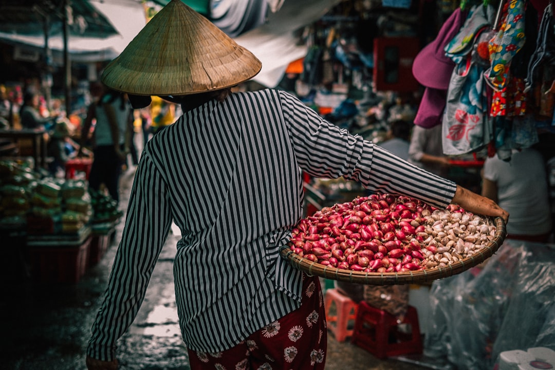 Vietnam: A Culinary Journey (image credits: unsplash)