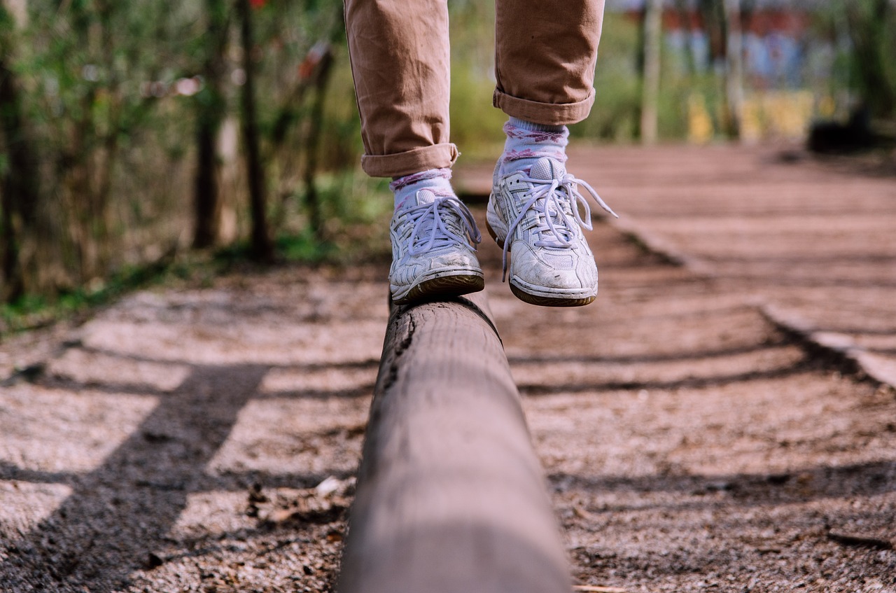 Conclusion: Balancing AI and Human Input (image credits: pixabay)