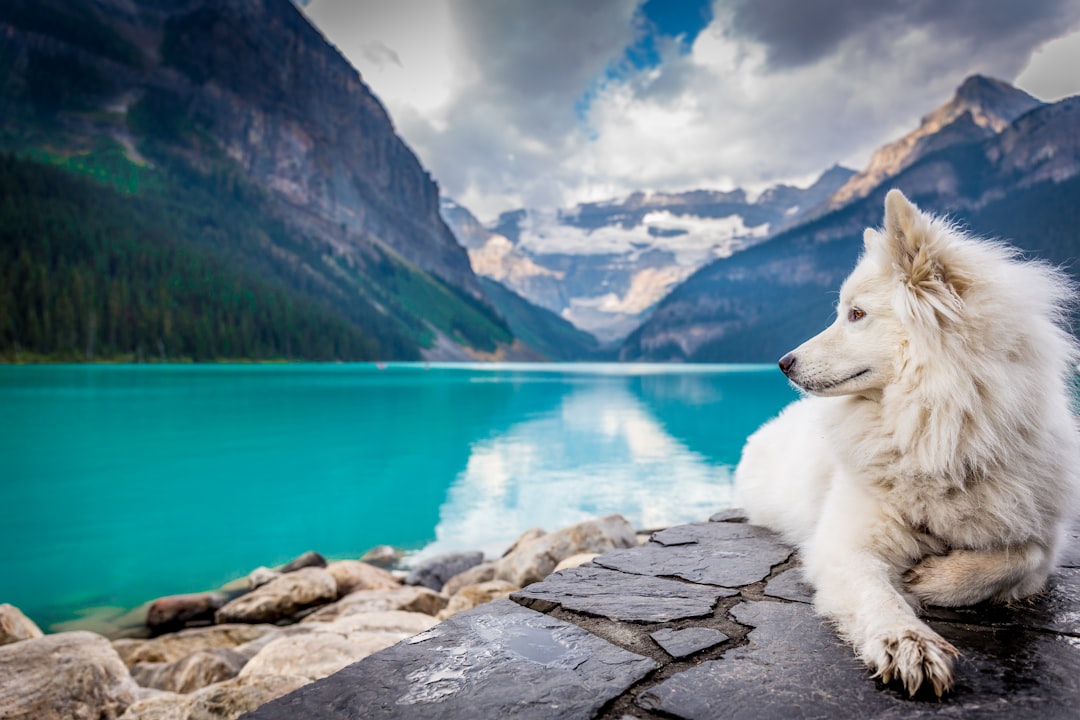 Canada Wild Trails and Urban Delights (image credits: unsplash)