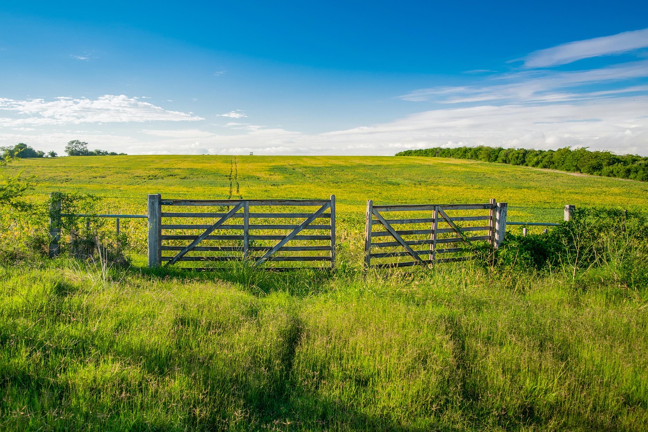 Exploring Nature Reserves and Wildlife (image credits: pixabay)