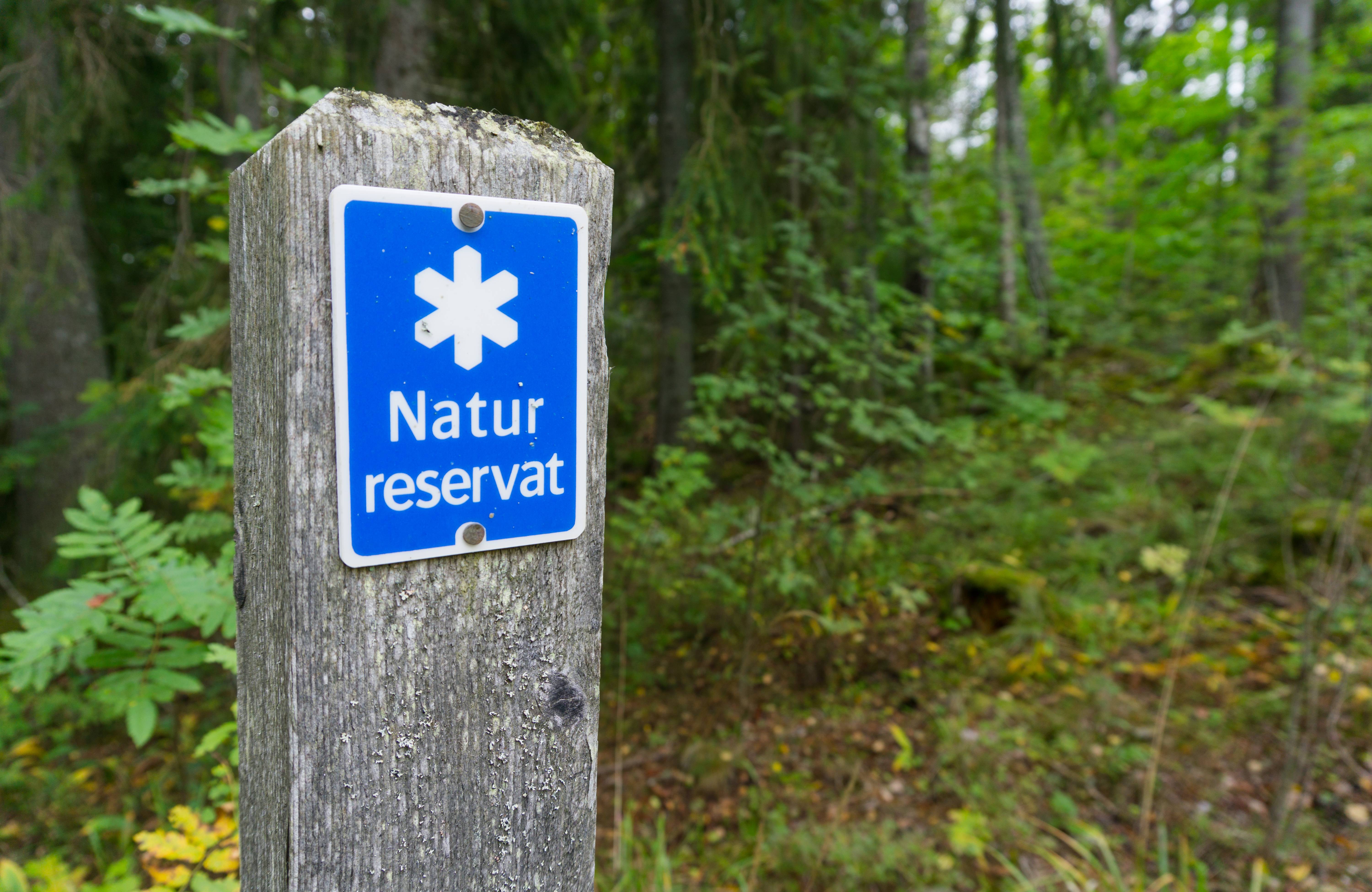 Environmental Sustainability (image credits: wikimedia)