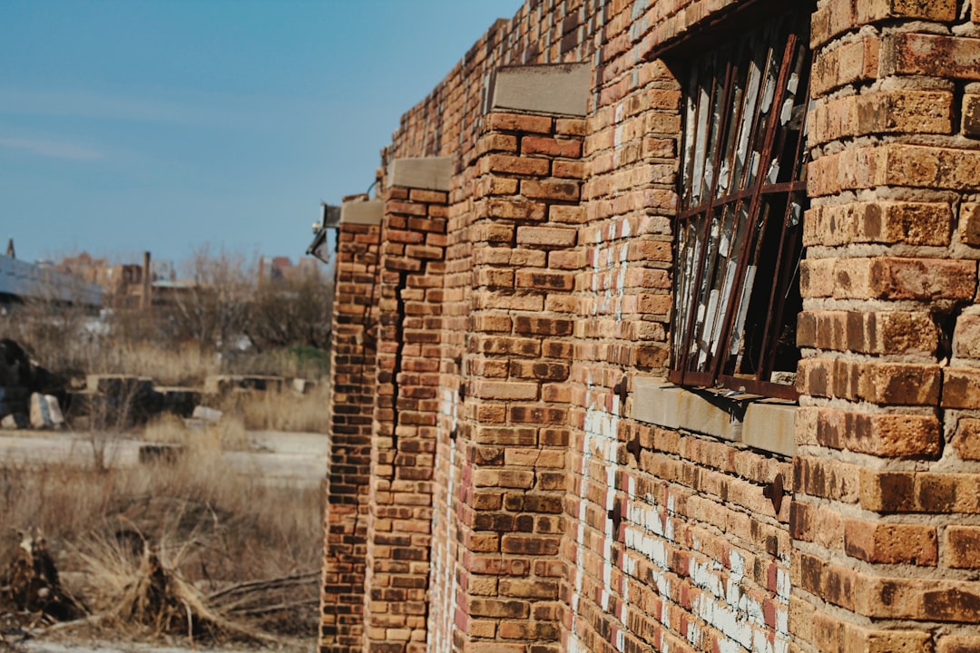 Partial Openings and the New Status Quo (image credits: unsplash)