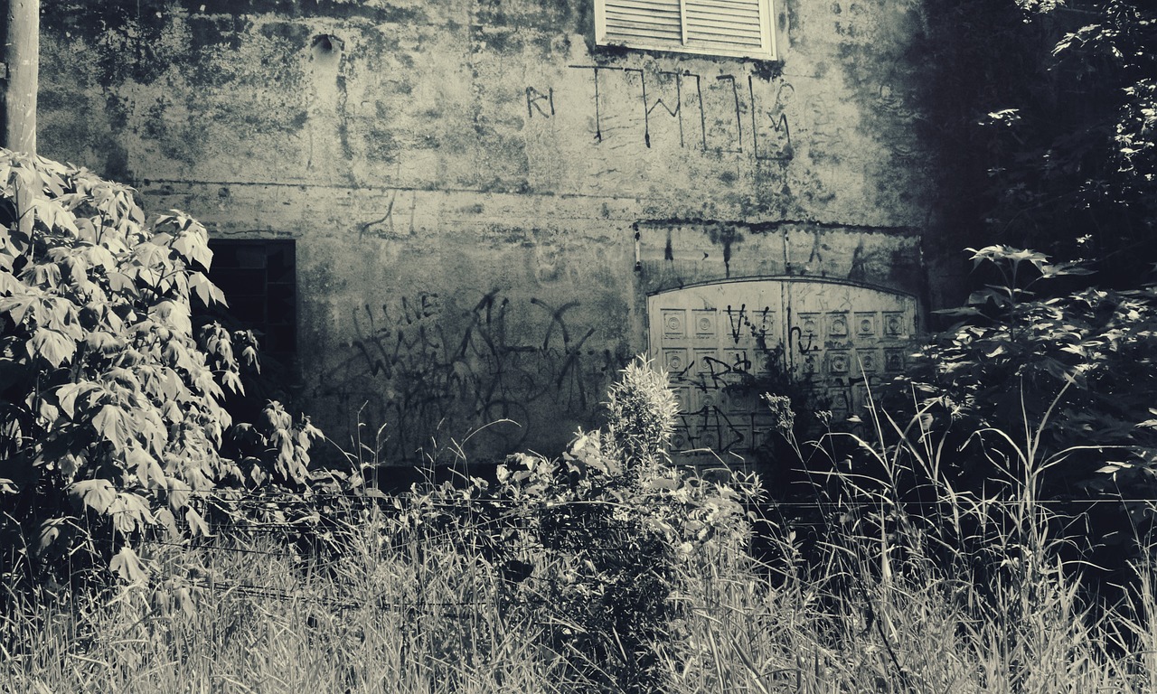 8. Personal Stories from Former Residents (image credits: pixabay)