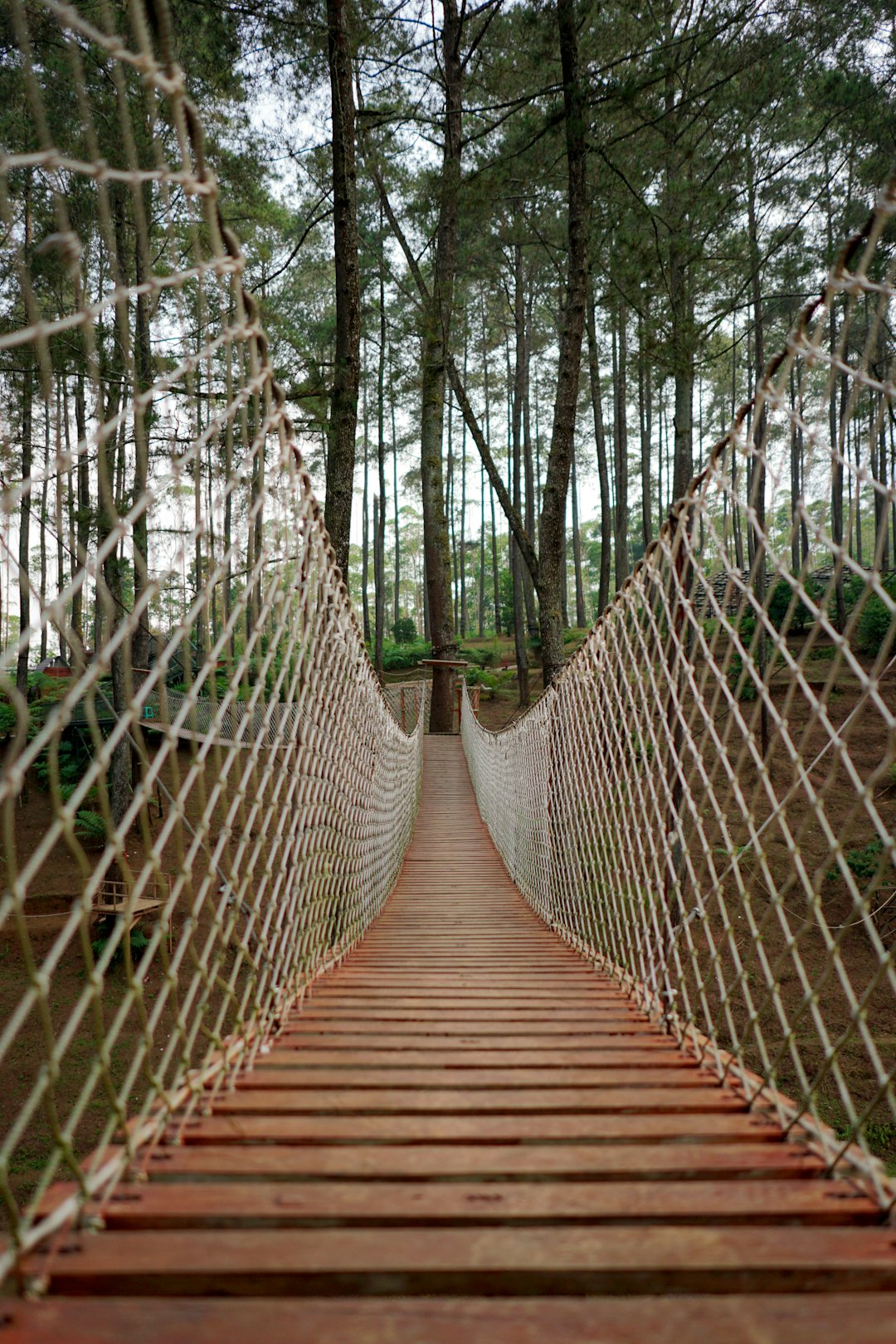 Future Trends in Non-Tariff Tourism (image credits: unsplash)