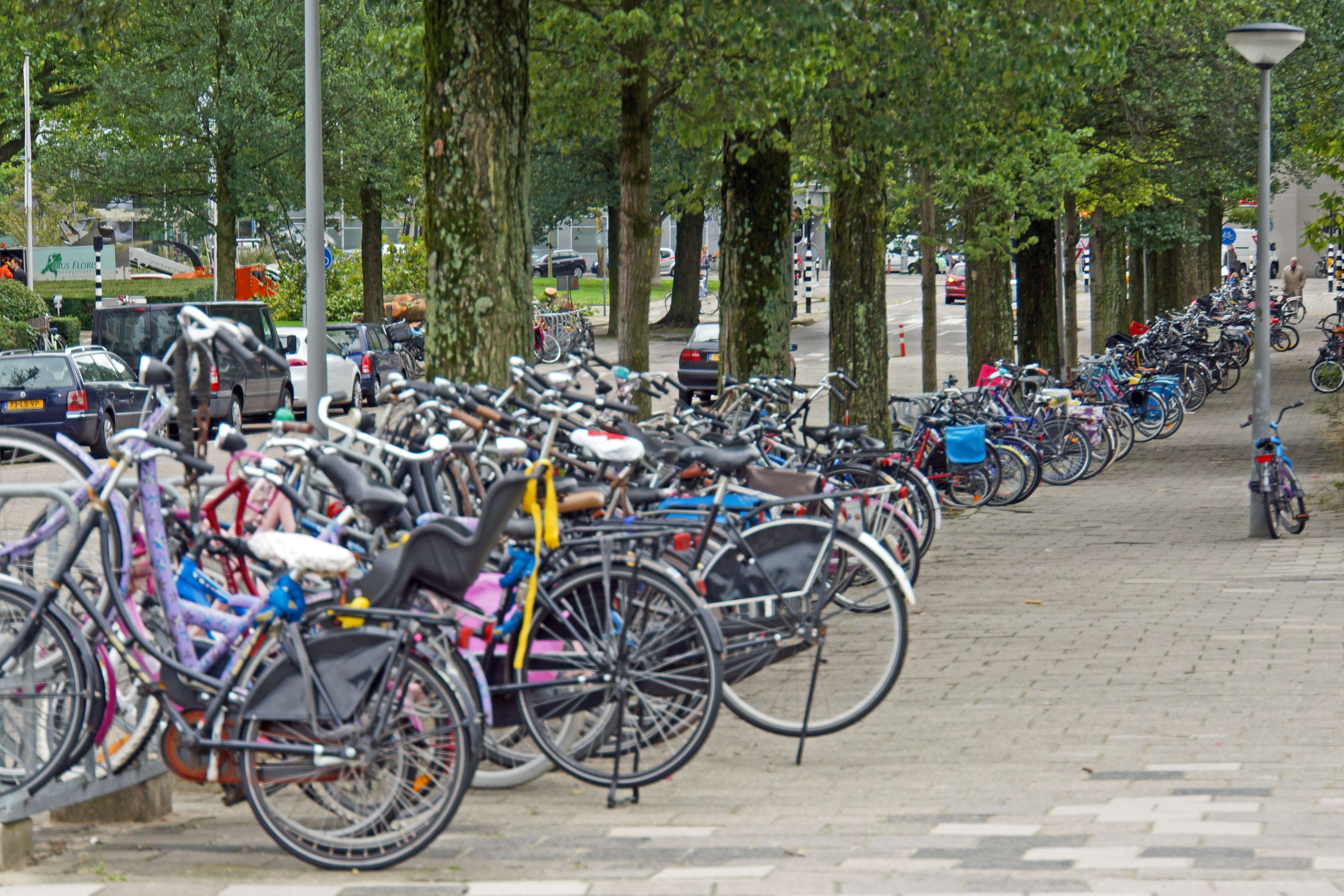 Netherlands: Innovation and Social Responsibility (image credits: wikimedia)
