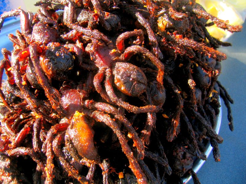 Deep-Fried Tarantulas: A Fearless Feast (image credits: wikimedia)