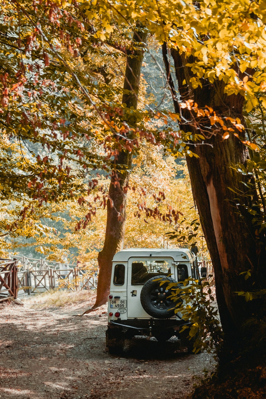 Turkey: Where Continents and Seasons Collide (image credits: unsplash)