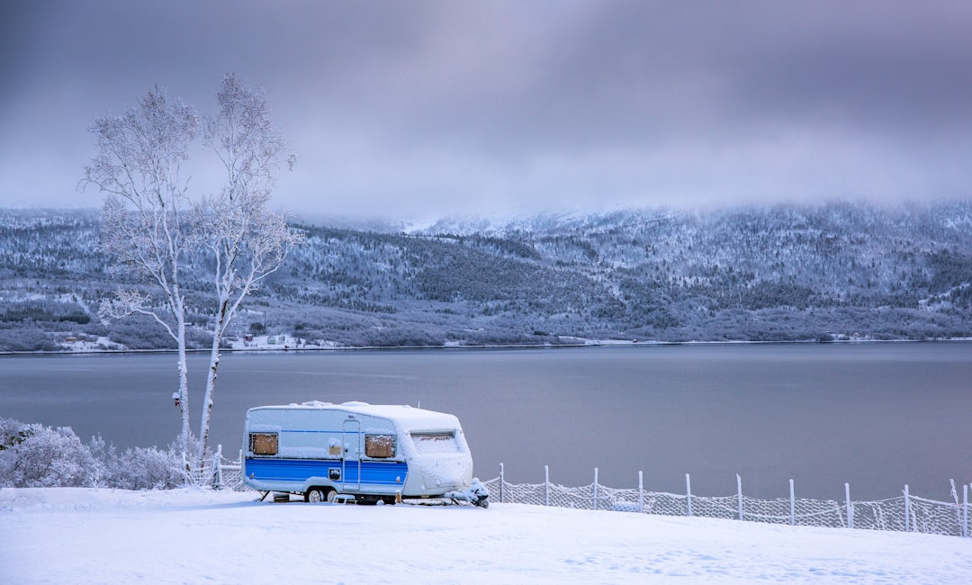 7. Scandinavian Winter Tours with Seasonal Surcharges (image credits: unsplash)