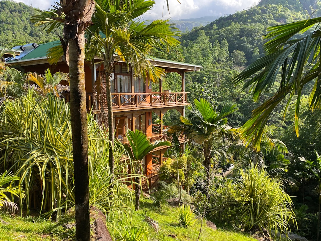 Costa Rica: The Pioneer That Started It All (image credits: unsplash)