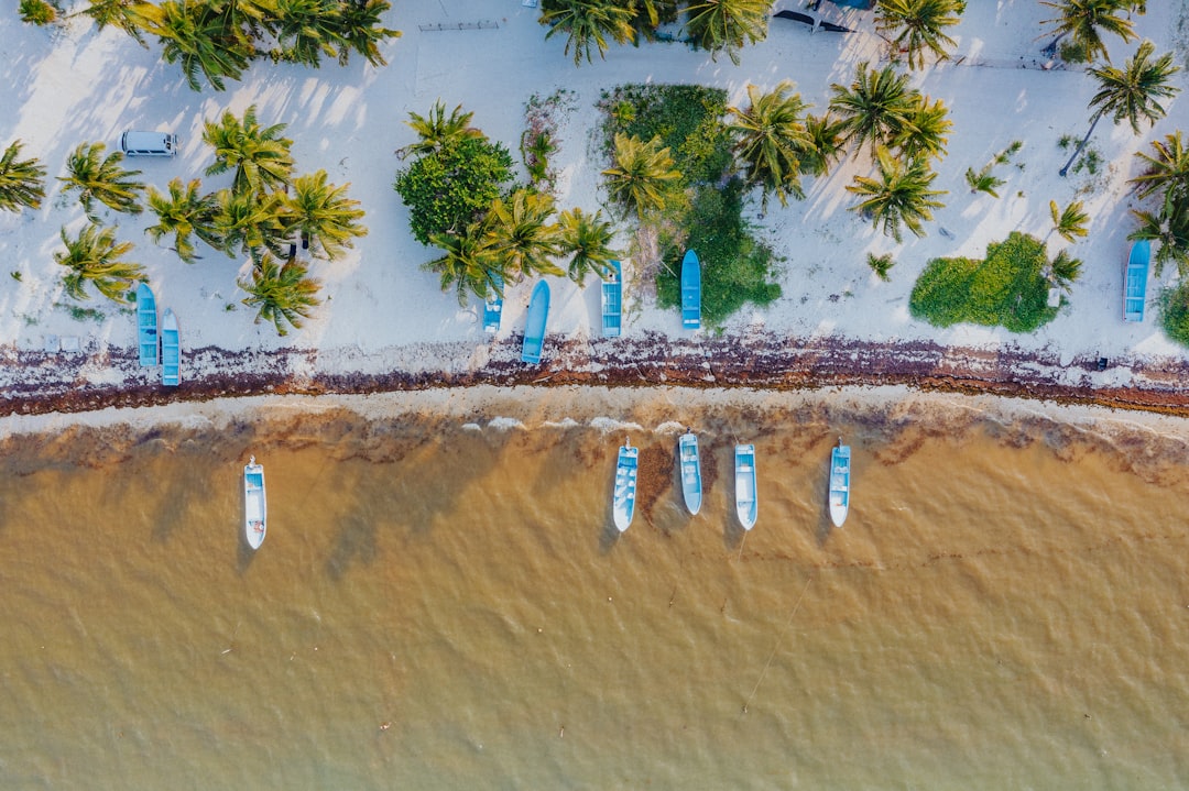 The Environment Is Paying the Price (image credits: unsplash)