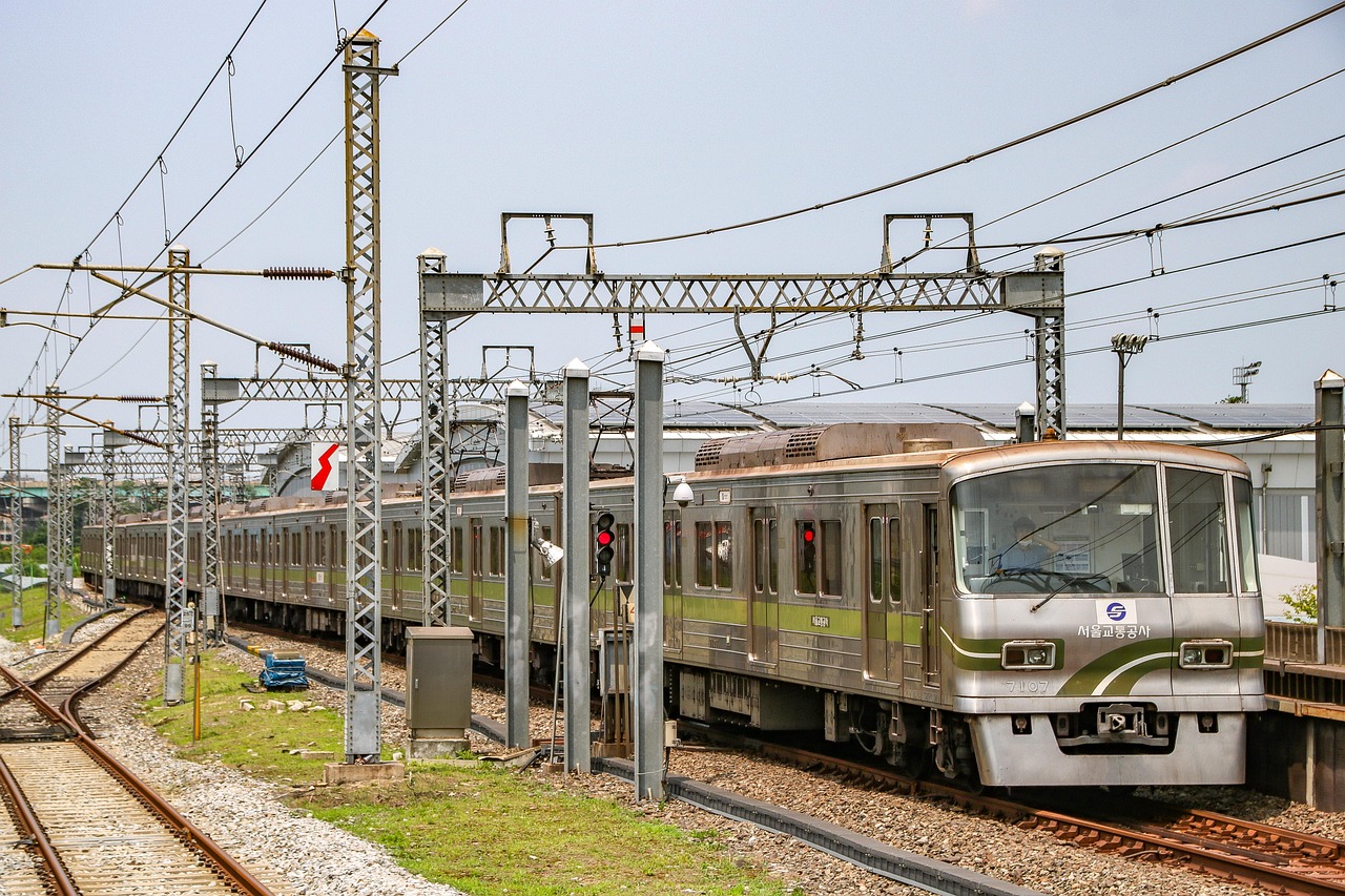 South Korea: Digital Infrastructure and Urban Innovation (image credits: pixabay)