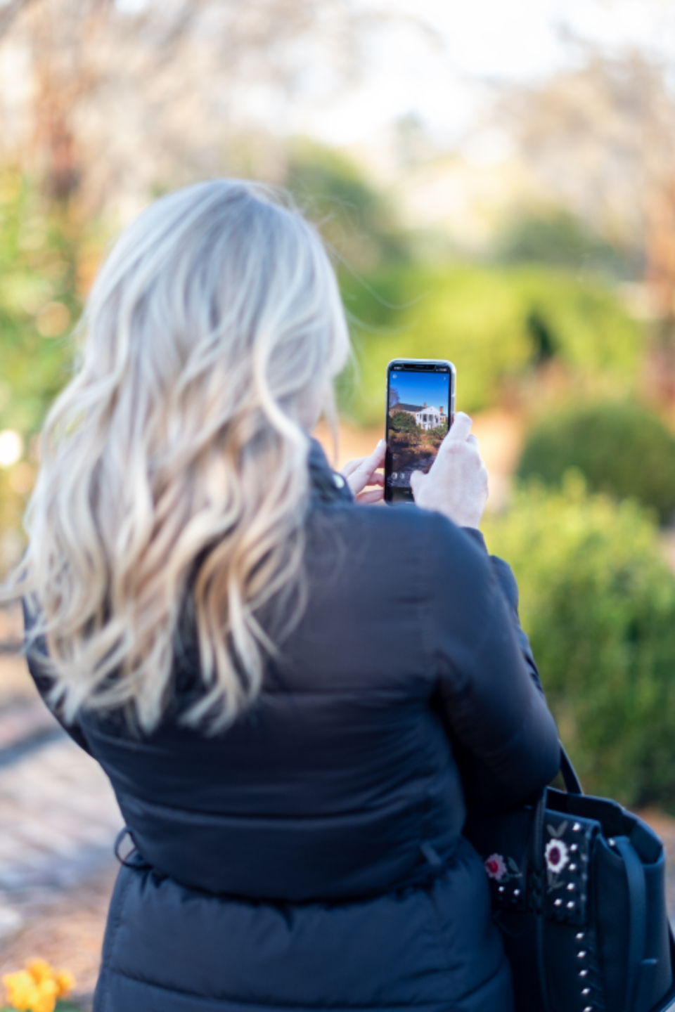 Social Media Changes How We Travel (image credits: stocksnap)