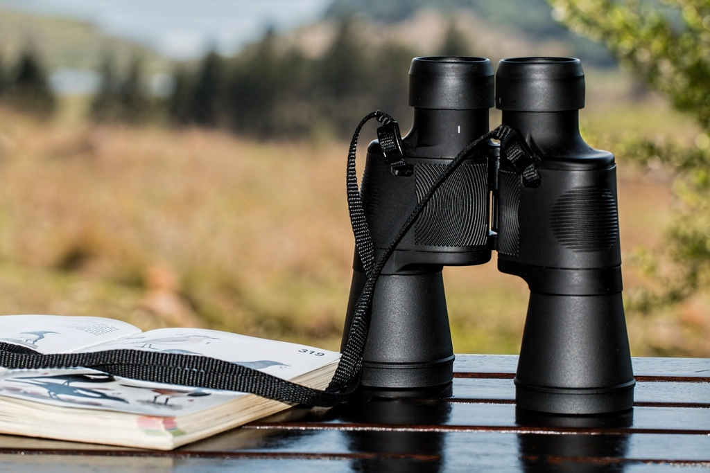 10. Birdwatching - Nature's Mindfulness Practice (image credits: rawpixel)