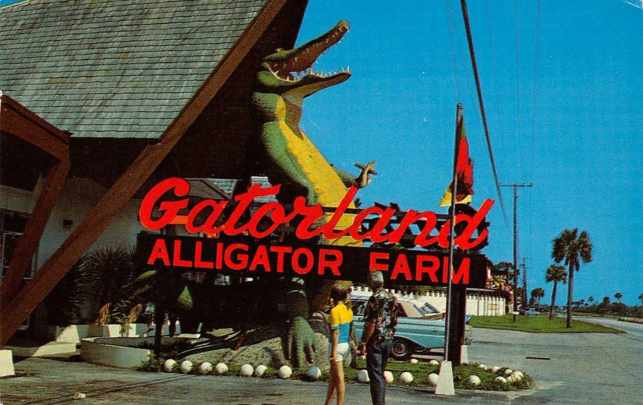 Gatorland (image credits: wikimedia)