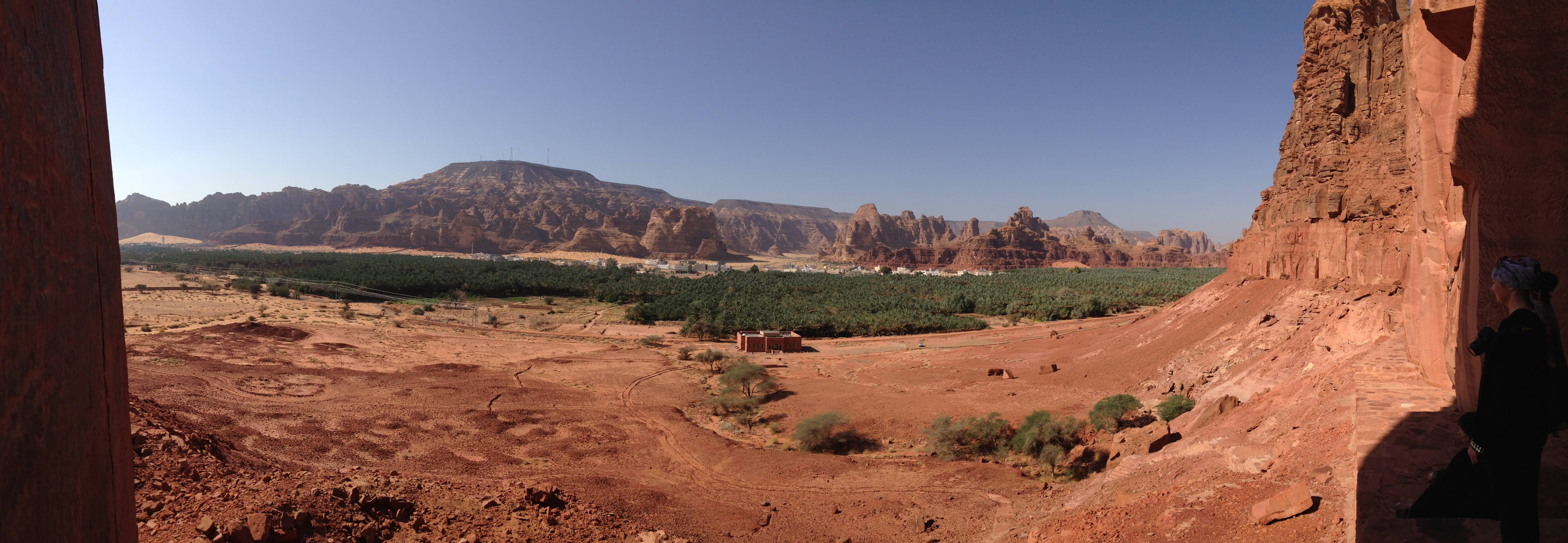 Conservation and Sustainability Initiatives (image credits: wikimedia)