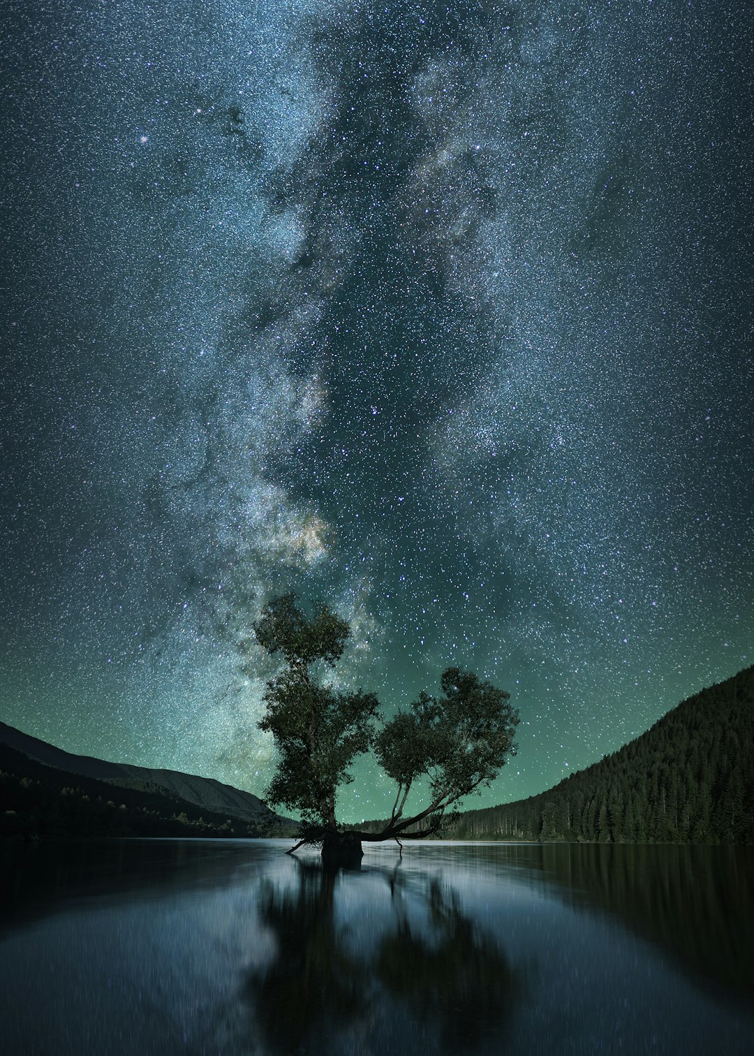 New Zealand A Safe Haven Under Southern Stars (image credits: unsplash)