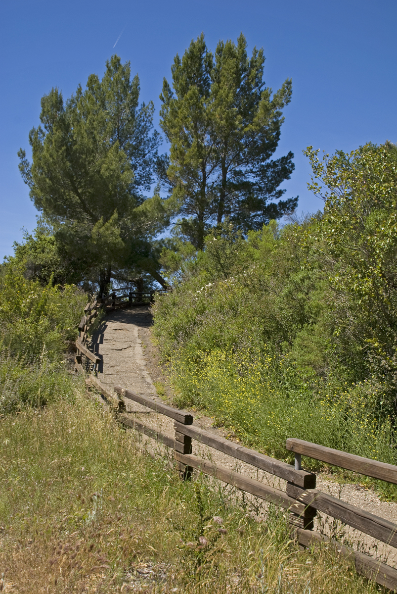 Avoiding Crowds (image credits: wikimedia)