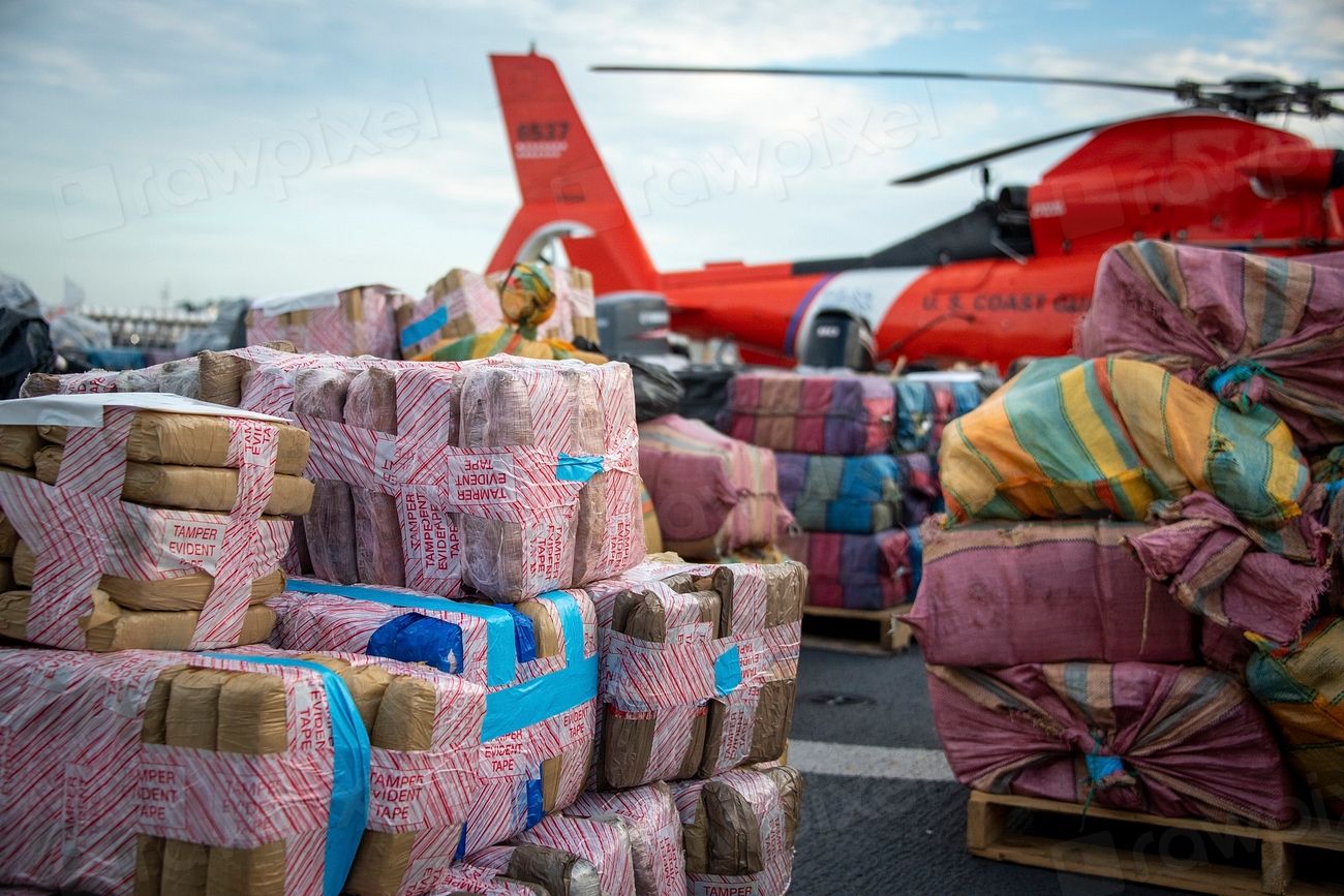 Government Recovery Efforts (image credits: rawpixel)