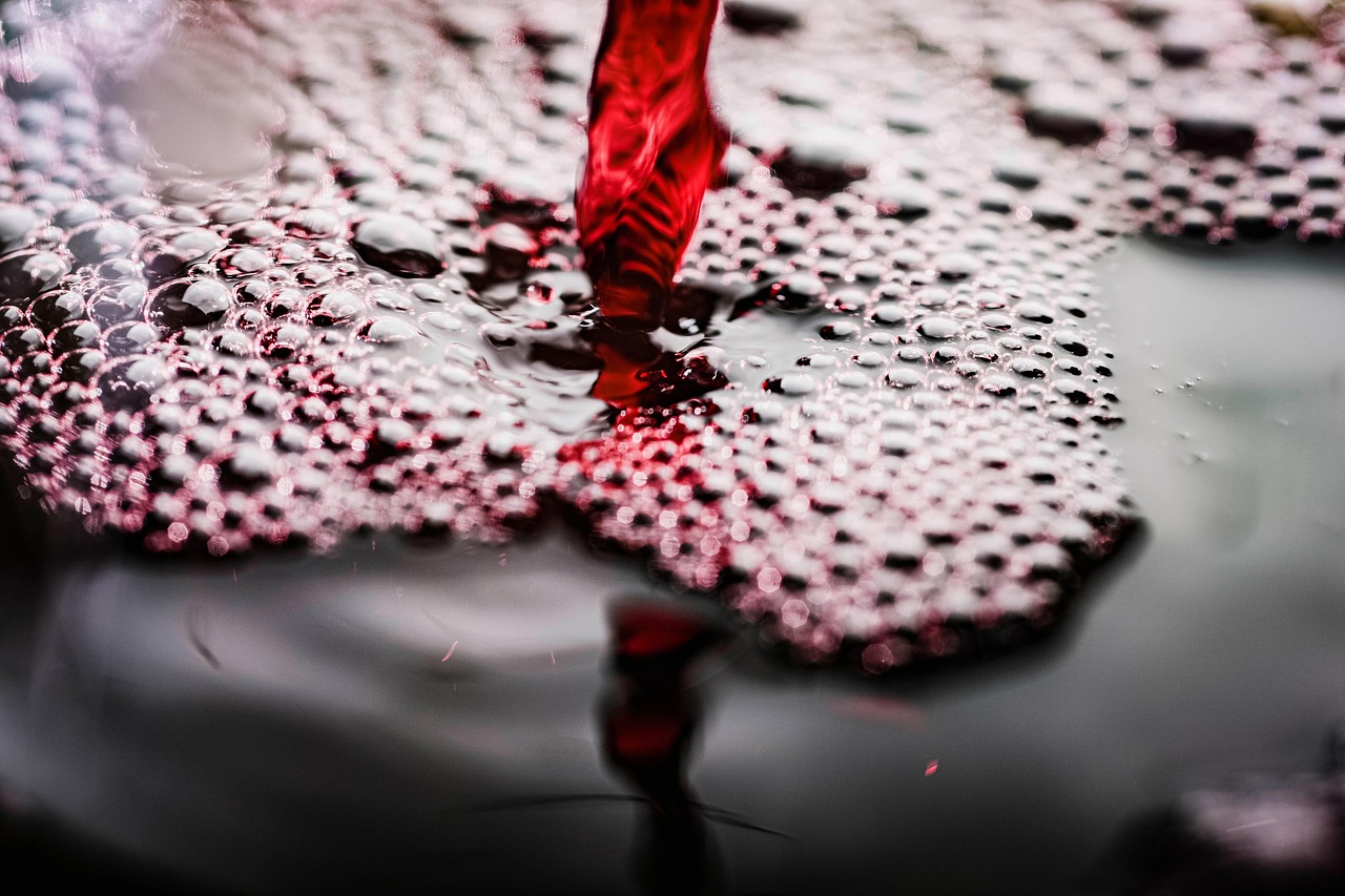 Celebrating Georgian Wine Festivals (image credits: pixabay)