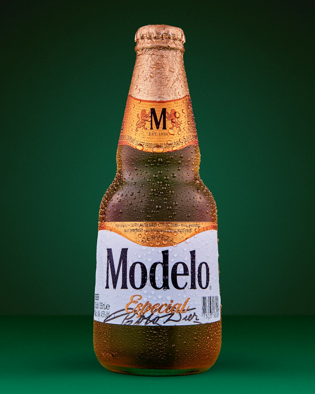 Modelo Especial - The Mexican Success Story (image credits: unsplash)