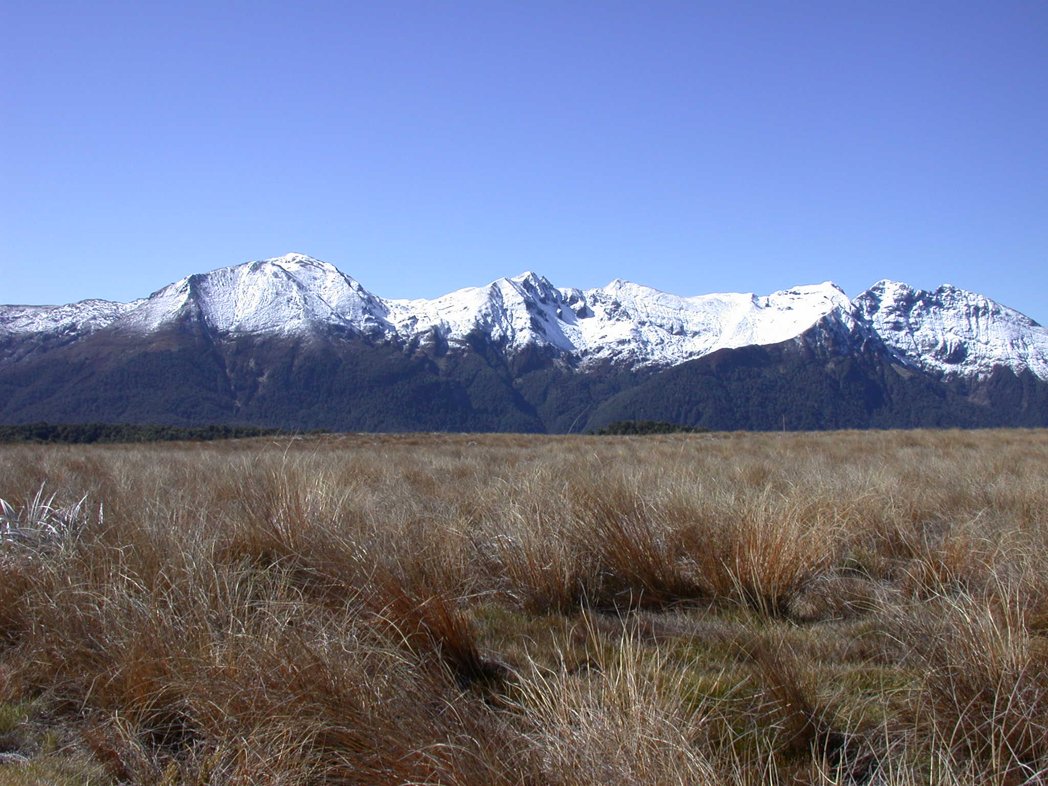New Zealand Adventure in Every Corner (image credits: wikimedia)