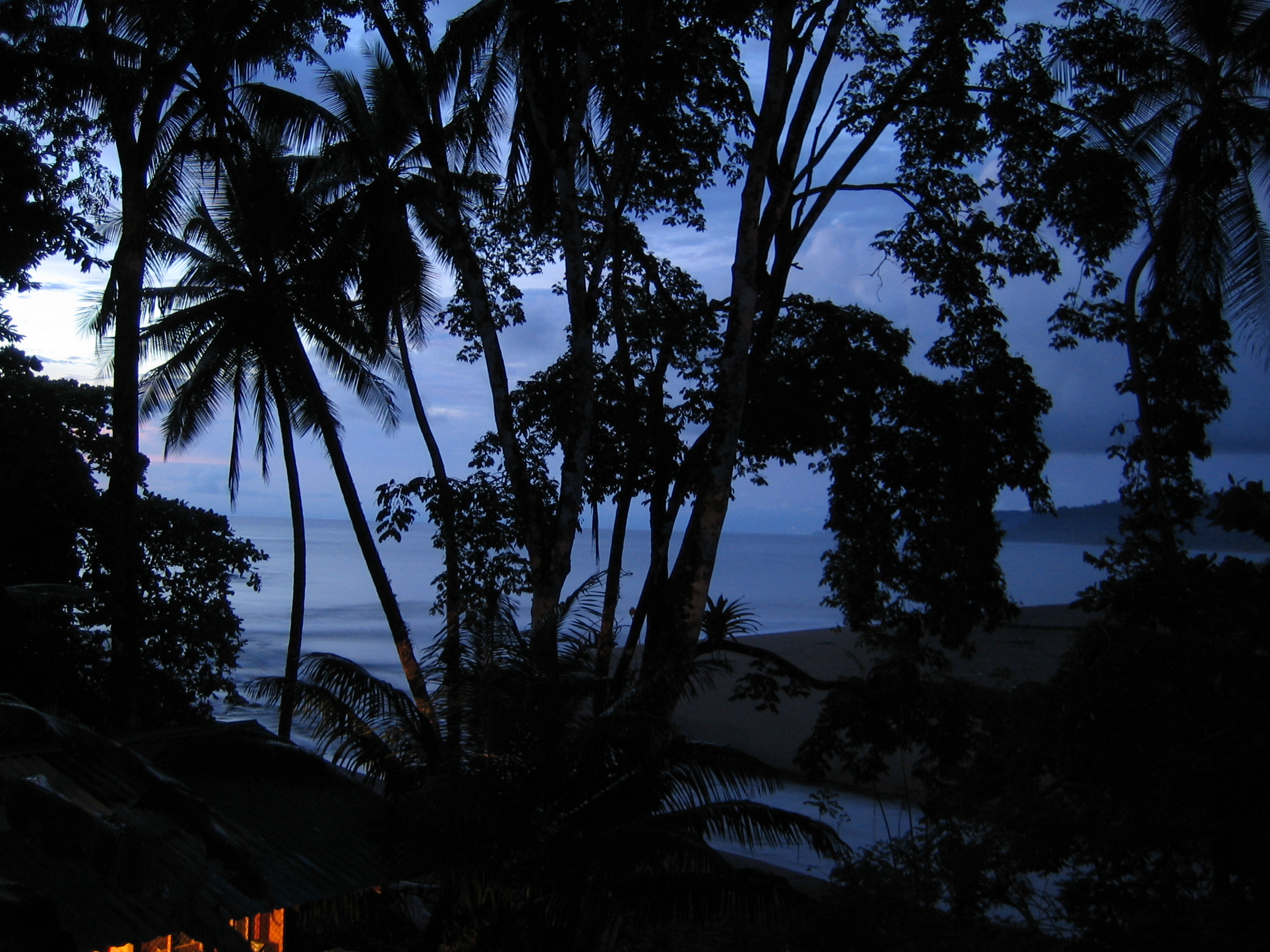Costa Rica Pura Vida and Peaceful Rainforests (image credits: wikimedia)