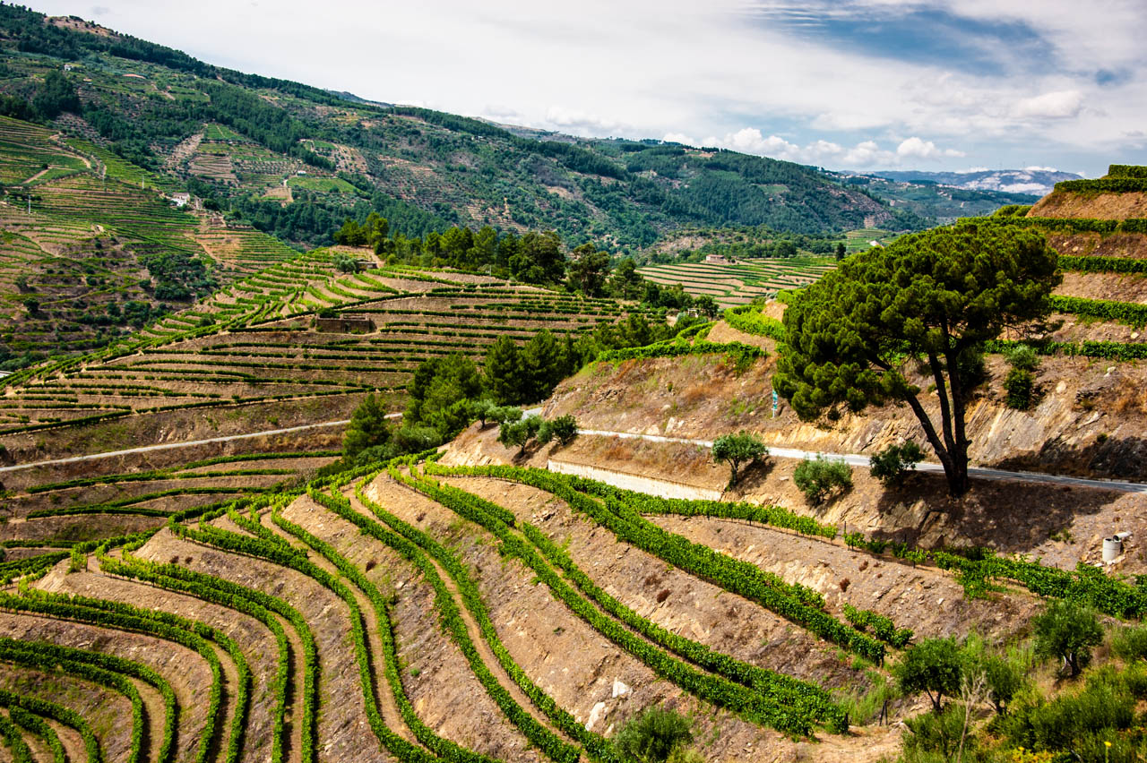 Portugal: Coastal Calm and Cultural Richness (image credits: wikimedia)