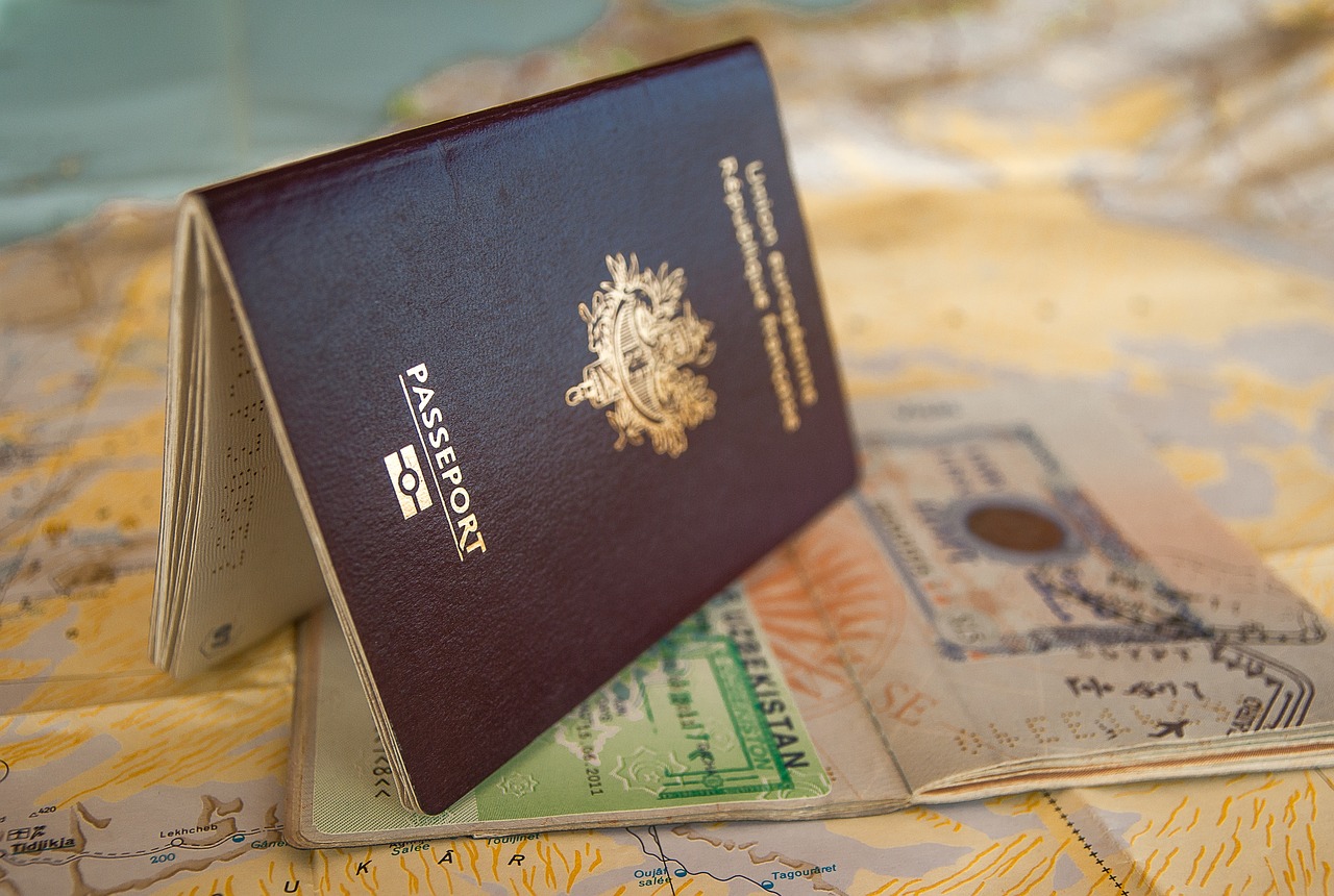 The Reality Behind Rising Visa Rejection Rates (image credits: pixabay)